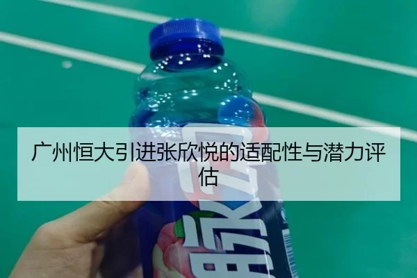 guang-zhou-heng-da-yin-jin-zhang-xin-yue-de-shi-pei-xing-yu-qian-li-ping-gu-2-811.jpg