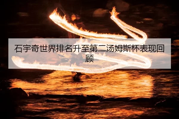 石宇奇世界排名升至第二汤姆斯杯表现回顾